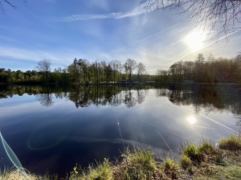 Arbeitseinsatz Ziegeleiteiche