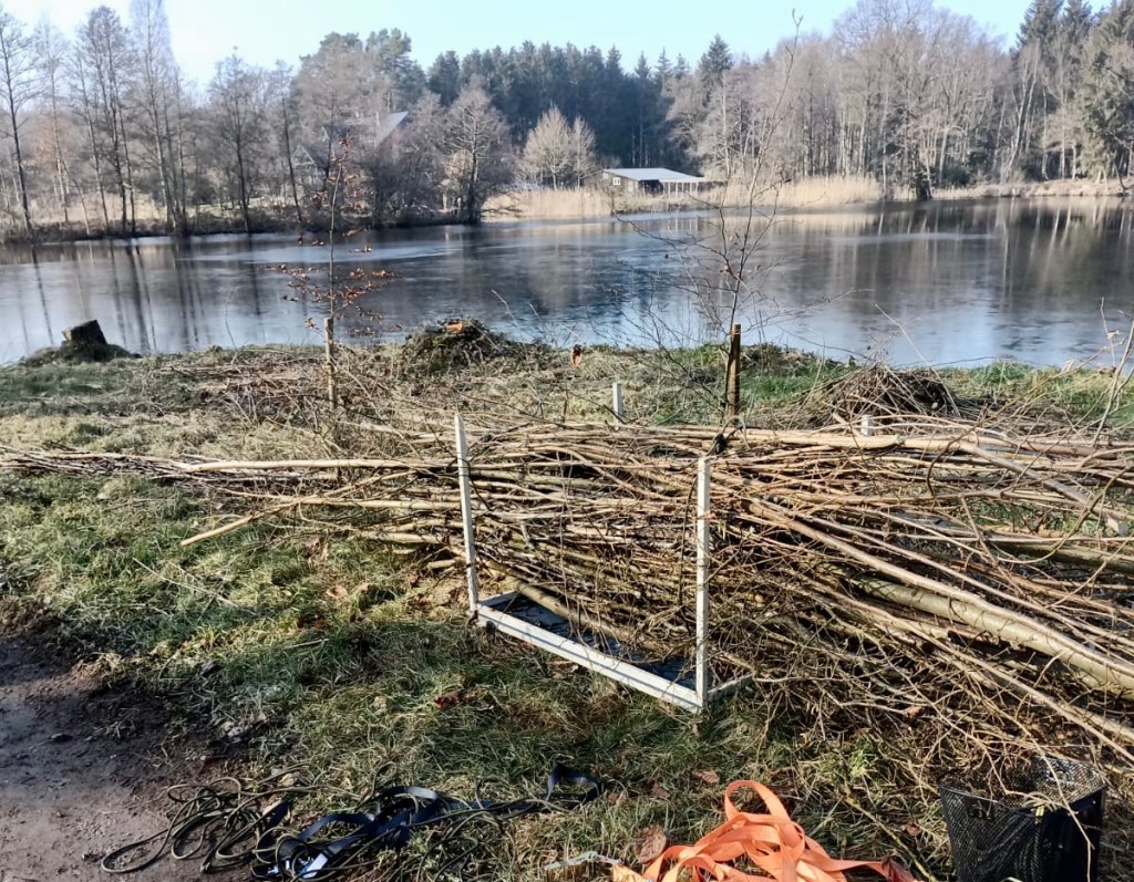 Arbeitseinsatz an den&nbsp;Ziegeleiteichen